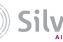 Gulfstream International Airlines Rebrands as Silver Airways