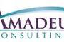 Amadeus Consulting Volunteers for Airport Cooperative Research Program’s Panel